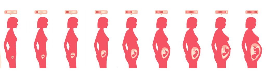 Graviditetsforløb